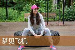 梦见飞机