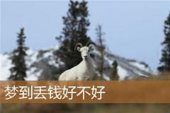 梦到丢钱好不好