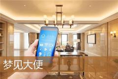 梦见大便