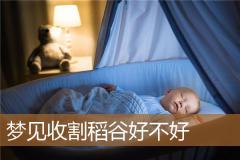 梦见收割稻谷好不好