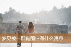 梦见被一群狗围住有什么寓意