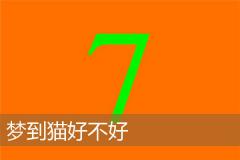 梦到猫好不好