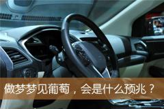 做梦梦见葡萄，会是什么预兆？