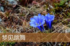 梦见跳舞