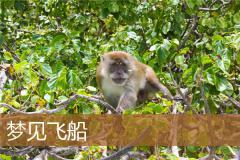 梦见飞船