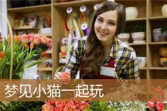 梦见小猫一起玩