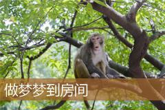 做梦梦到房间