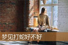 梦见打蛇好不好