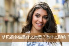 梦见很多猫是什么意思？有什么影响？