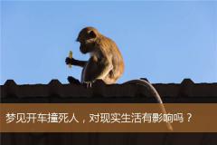 梦见开车撞死人，对现实生活有影响吗？