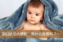 孕妇梦见大蟒蛇，有什么意思吗？