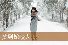 梦到蛇咬人