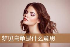 梦见乌龟是什么意思