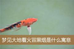 梦见大地着火冒黑烟是什么寓意
