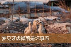 梦见牙齿掉落是坏事吗