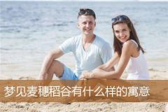 梦见麦穗稻谷有什么样的寓意