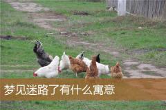 梦见迷路了有什么寓意