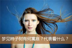 梦见柿子树有何寓意？代表着什么？