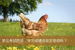 梦见考试的话，学习成绩会发生变动吗？