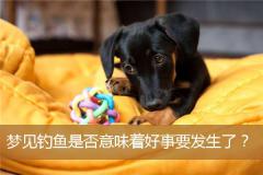 梦见钓鱼是否意味着好事要发生了？