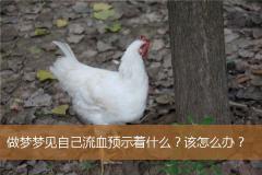 做梦梦见自己流血预示着什么？该怎么办？