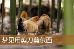 梦见用剪刀剪东西