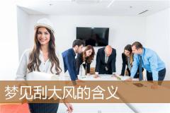 梦见刮大风的含义