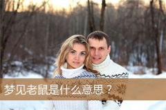 梦见老鼠是什么意思？