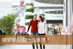 做梦梦见猫什么意思？