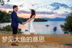 梦见大鱼的意思