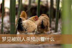 梦见被别人杀预示着什么