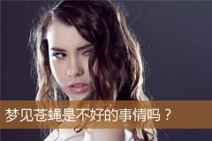 梦见苍蝇是不好的事情吗？