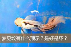 梦见坟有什么预示？是好是坏？