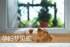孕妇梦见蛇