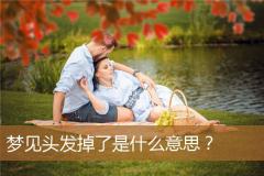 梦见头发掉了是什么意思？