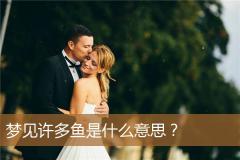 梦见许多鱼是什么意思？