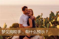梦见狗咬手，有什么预示？