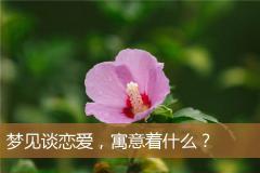 梦见谈恋爱，寓意着什么？