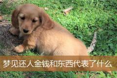 梦见还人金钱和东西代表了什么