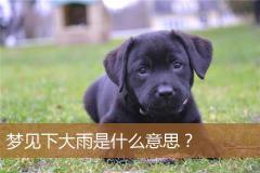 梦见下大雨是什么意思？