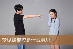 梦见被猫咬是什么意思