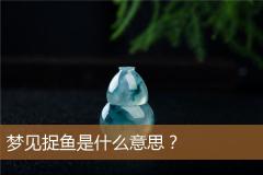 梦见捉鱼是什么意思？