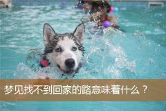 梦见找不到回家的路意味着什么？