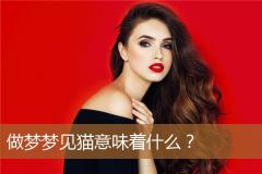做梦梦见猫意味着什么？