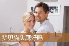 梦见猫头鹰好吗