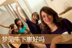 梦见牛下崽好吗