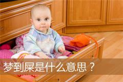 梦到屎是什么意思？