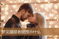 梦见猫捉老鼠预示什么