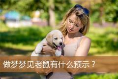 做梦梦见老鼠有什么预示？