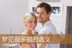 梦见很多猫的含义